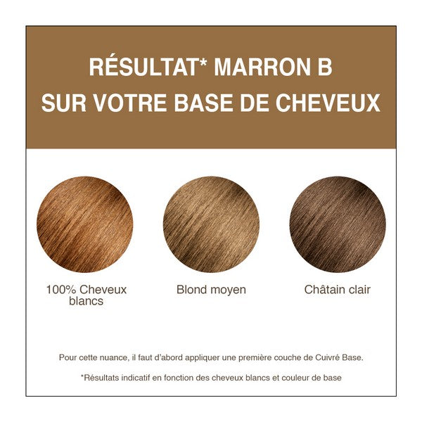 Terre De Couleur -- Coloration végétale brun b - 100 g