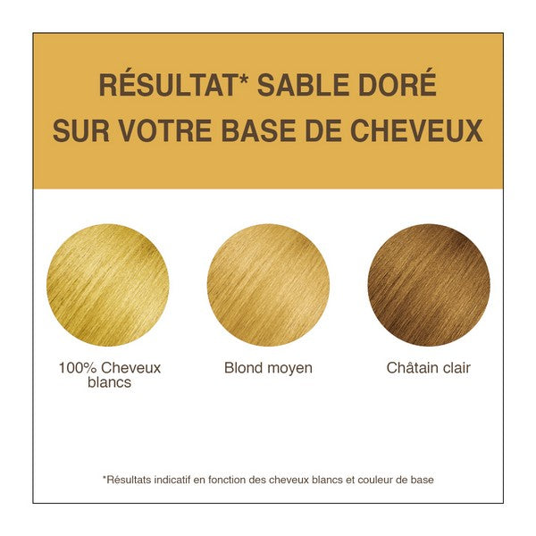 Terre De Couleur -- Coloration végétale sable doré - 100 g