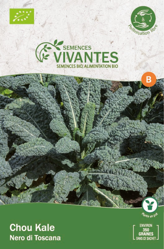 Semences Vivantes -- Chou kale nero di toscana bio demeter - Sachet de 350 graines